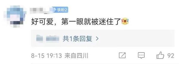 以名贵药材为食,消失8年后它再现身! 以名贵药材为食,消失8年后它再现身!