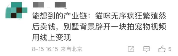 三千万的上海独栋别墅，租客改成猫舍…业主回国崩溃