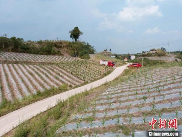 四川内江、广安等地高温干旱严重 消防送水解渴忙 四川内江、广安等地高温干旱严重 消防送水解渴忙