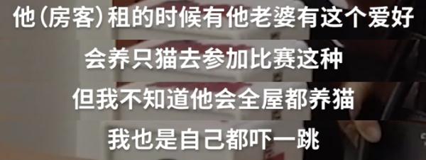 三千万的上海独栋别墅，租客改成猫舍…业主回国崩溃