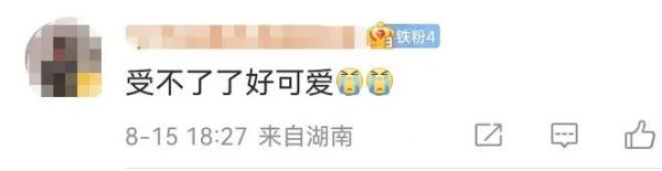 以名贵药材为食,消失8年后它再现身! 以名贵药材为食,消失8年后它再现身!