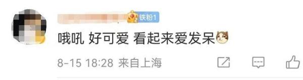 以名贵药材为食,消失8年后它再现身! 以名贵药材为食,消失8年后它再现身!