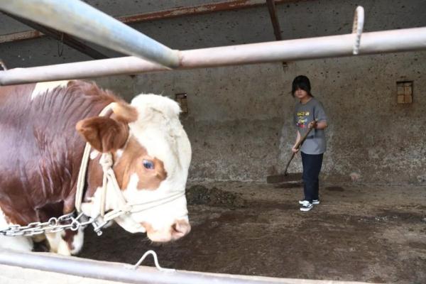 励志！西吉贫困女孩考入浙江大学！获阿里巴巴万元奖学金