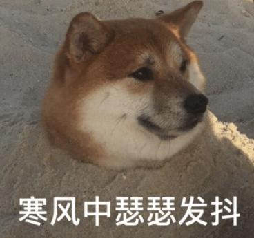 吓人！这里一公交站布满这种虫，街坊看了心惊惊…