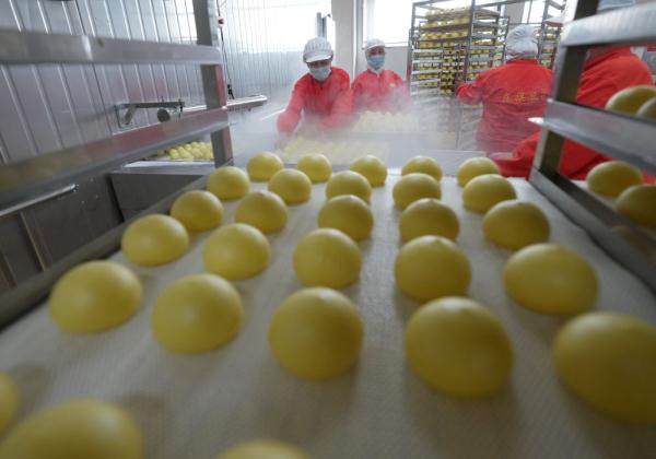 河北青龙:特色杂粮豆包拓宽山村增收致富路 河北青龙:特色杂粮豆包拓宽山村增收致富路