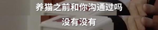 三千万的上海独栋别墅，租客改成猫舍…业主回国崩溃