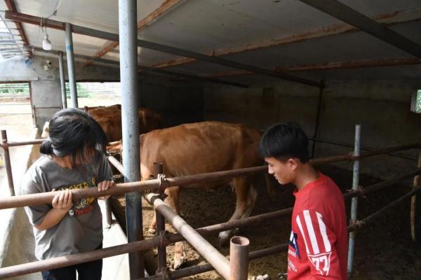 励志！西吉贫困女孩考入浙江大学！获阿里巴巴万元奖学金