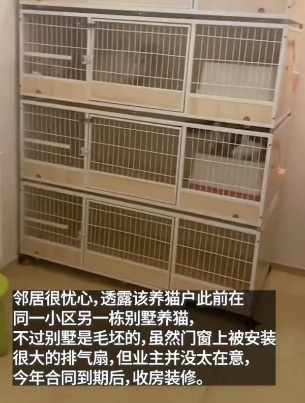 三千万的上海独栋别墅，租客改成猫舍…业主回国崩溃