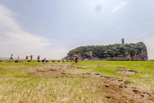 鄱阳湖提前进入枯水期！湖中鞋山岛全部露出水面