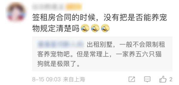 三千万的上海独栋别墅，租客改成猫舍…业主回国崩溃