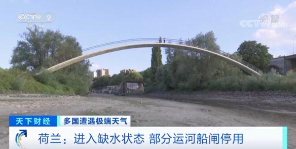 “水之国”大量水塘干涸！钓鱼爱好者开始救鱼了……