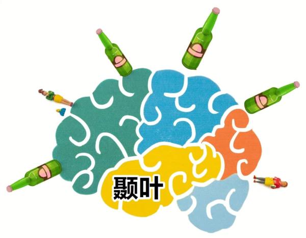 为什么喝完酒会“断片儿”，真相有点可怕……