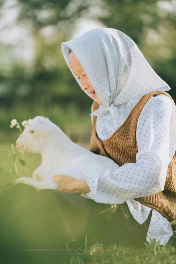 苏州外婆全网刷屏！有人笑着笑着泪目了