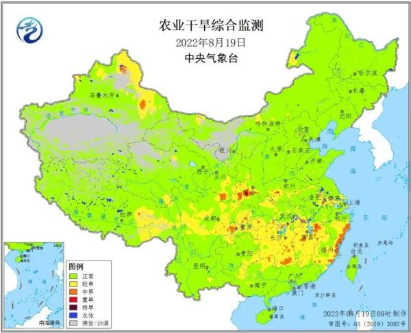 当前高温干旱对农业影响多大?未来趋势如何?专家解读 当前高温干旱对农业影响多大?未来趋势如何?专家解读