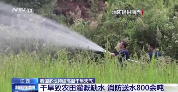 高温干旱持续！多地消防抗旱送水保民生