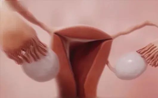 57岁不绝经！是年轻？还是病？