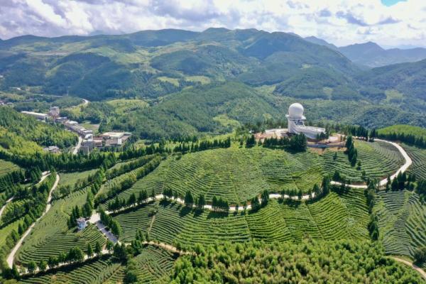 福建大湖乡：“多元种植”助推乡村振兴