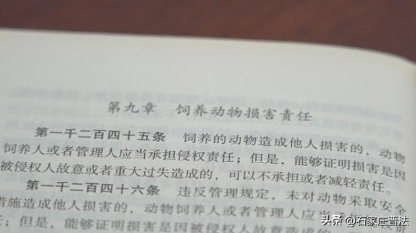 乌龟“跳楼”砸伤路人，主人赔偿6000元！