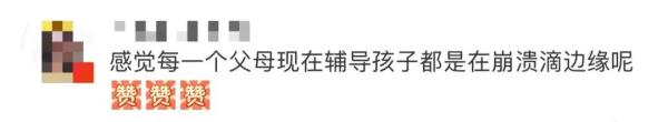 “教不了！”清华爸爸辅导作业崩溃捶墙