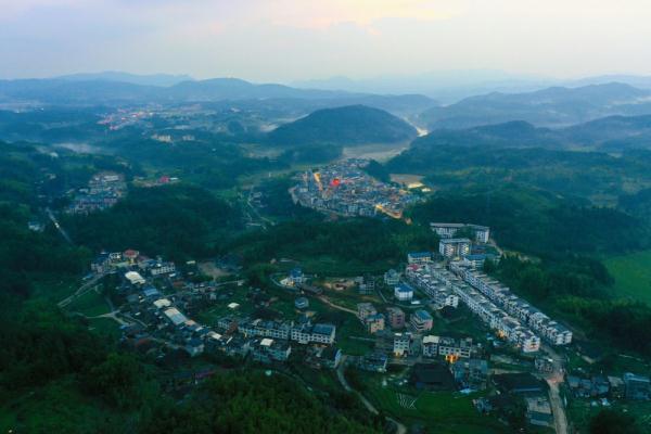 福建大湖乡：“多元种植”助推乡村振兴