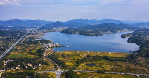 庐江县阳家墩：上榜