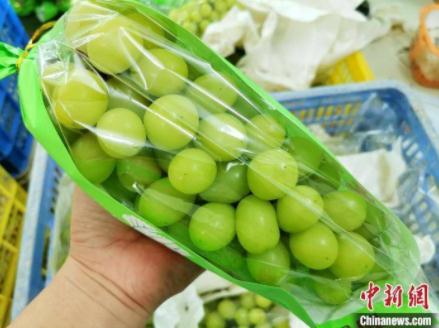 阳光玫瑰“下凡”
