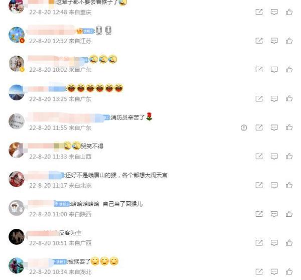 女孩喂猴时卡住头,救援中被猴围观 网友:“反客为主” 女孩喂猴时卡住头,救援中被猴围观 网友:“反客为主”