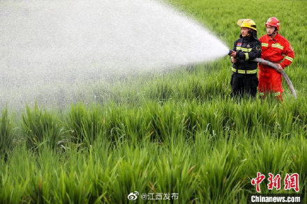 江西萍乡：多种措施齐上阵 抗旱减灾保障农业生产