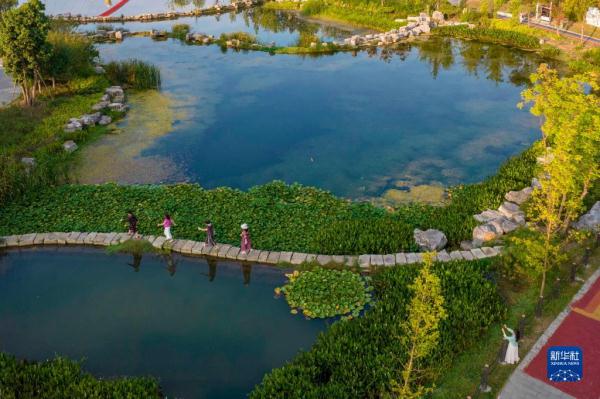贵州百里杜鹃：“避暑经济”带热乡村旅游