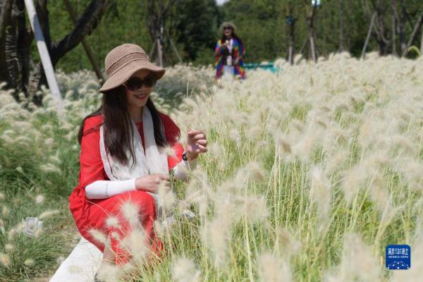 贵州百里杜鹃：“避暑经济”带热乡村旅游