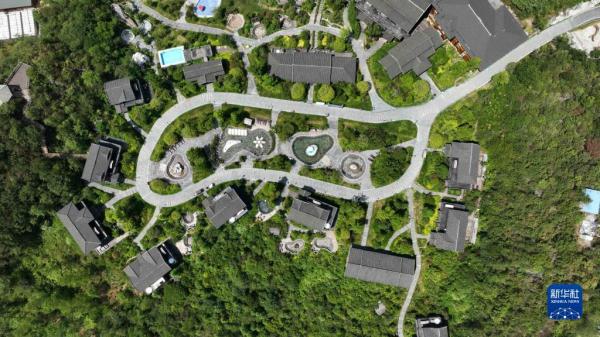 贵州百里杜鹃：“避暑经济”带热乡村旅游