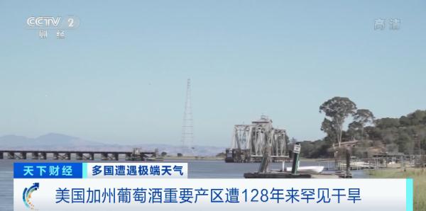128年来罕见干旱！著名葡萄酒产地遭重创！酒味会变吗