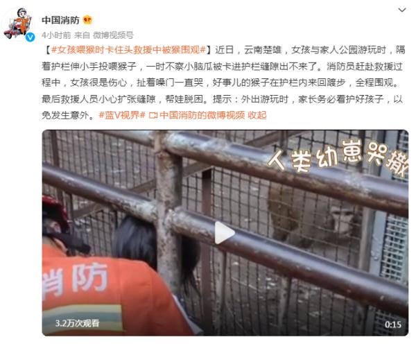 女孩喂猴时卡住头,救援中被猴围观 网友:“反客为主” 女孩喂猴时卡住头,救援中被猴围观 网友:“反客为主”