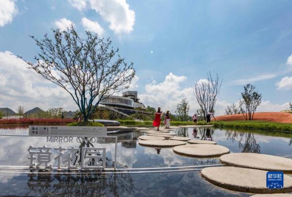 贵州百里杜鹃：“避暑经济”带热乡村旅游