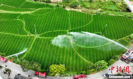 江西萍乡：多种措施齐上阵 抗旱减灾保障农业生产