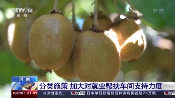 国家乡村振兴局：全国就业帮扶车间运行情况回稳向好