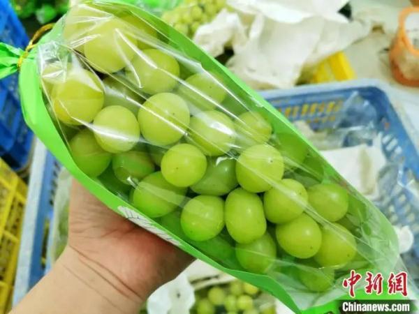 阳光玫瑰跌入十元档！网友：味道也变了…