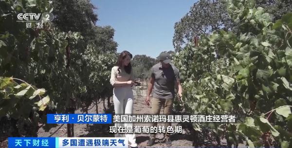 128年来罕见干旱！著名葡萄酒产地遭重创！酒味会变吗