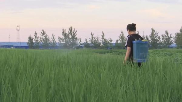 家庭屡遭变故,她以超一本线成绩被录取!这个姑娘让人心疼又佩服! 家庭屡遭变故,她以超一本线成绩被录取!这个姑娘让人心疼又佩服!