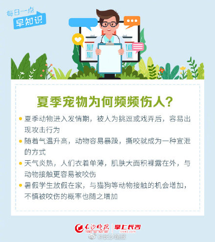 夏季动物狂躁易伤人，撩猫逗狗要当心！