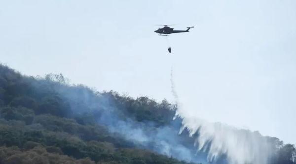 重庆山火明火已全部扑灭，起火原因已查明