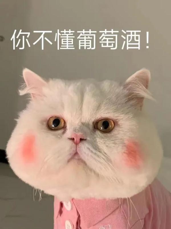 “你学这个专业，能不能请我喝82年的拉菲啊？”