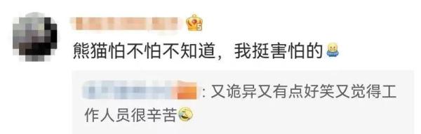 “熊猫人”来了！熊猫有点懵圈！