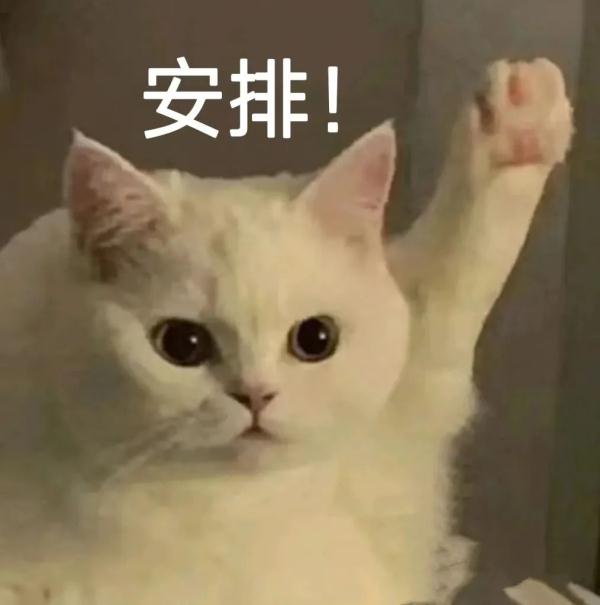 “你学这个专业，能不能请我喝82年的拉菲啊？”