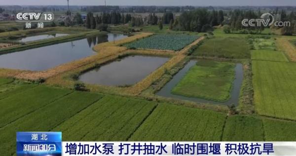 受干旱影响各地特别是长江流域多个省市积极行动应对旱情 受干旱影响各地特别是长江流域多个省市积极行动应对旱情