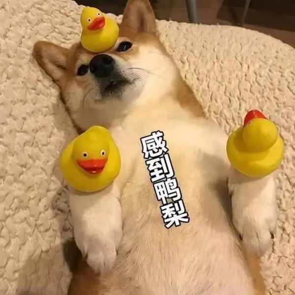 “你学这个专业，能不能请我喝82年的拉菲啊？”