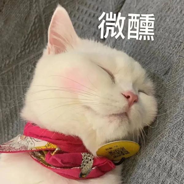 “你学这个专业，能不能请我喝82年的拉菲啊？”