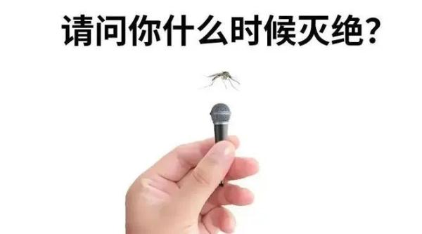 南方蚊子疑似变少，网友：终于连蚊子都要被热死了？