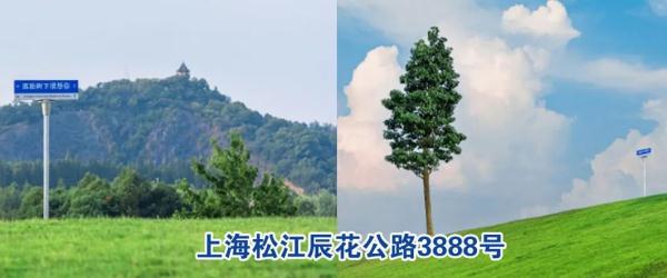 “我在XX很想你”……这些违规网红路牌拆了！