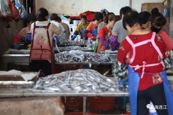 鲜!正大量上岸!福州人最爱! 鲜!正大量上岸!福州人最爱!